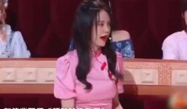 潭湘佳谈沈梦辰爆料视频,沈梦辰揭秘潭湘佳谈幕后故事